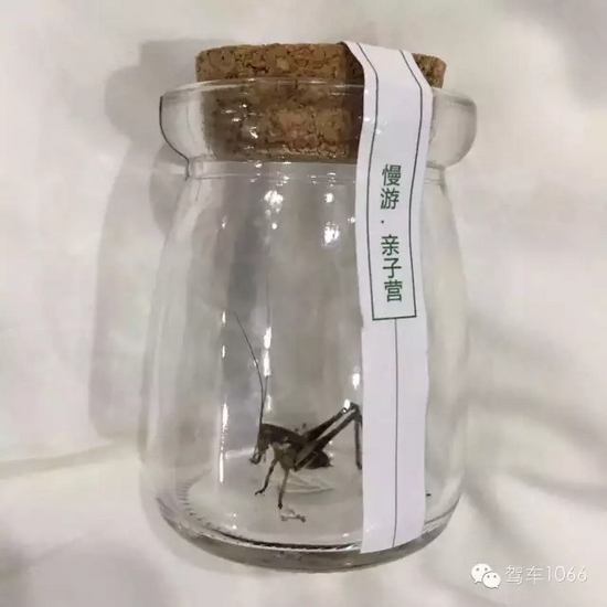 看看我的成果吧！