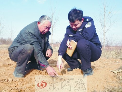 牡丹苗被盜之后，郭萬通又補種的牡丹苗已經(jīng)發(fā)芽