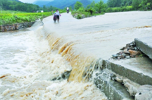 短時強降雨攜帶泥土、沙石、樹木等造成災害