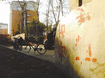 昨日，“上海奇石盆景博物館”原址上，已矗立起小區(qū)樓盤，而刻著博物館名的巨石，廢棄在一旁。本版圖片/新京報(bào)記者 張永生 攝