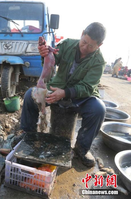 圖為12月1日，104國道靜?？h城附近，顧客挑好后，商販拎著死兔將皮完整地扒下來。田寶希 攝 圖片來