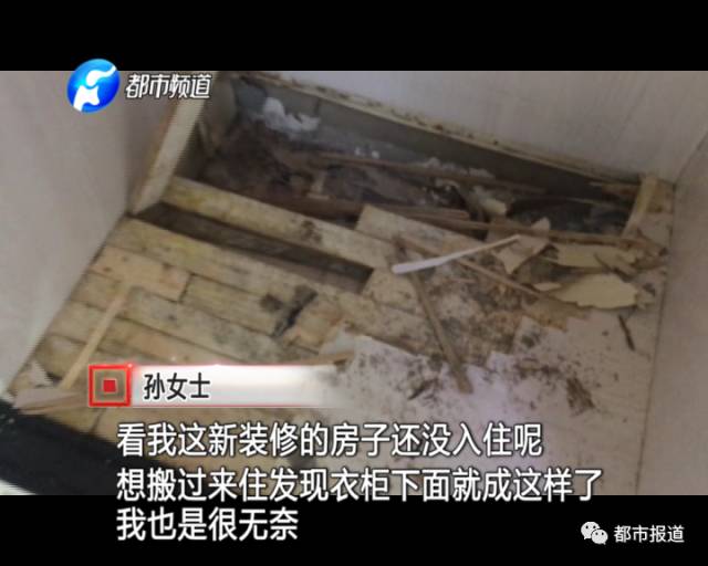 蟻族大軍入侵！十幾萬裝修的新家被“吃掉”