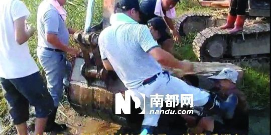 幾名戴黑帽的男子將一名老人推入水塘，后反復(fù)腳踹。