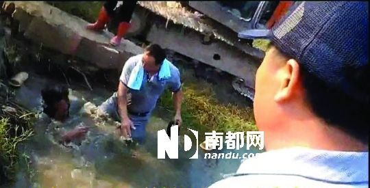 男子沒入水塘后試圖反抗，遭戴黑帽男子毆打。視頻截圖