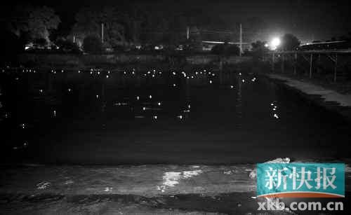 昨日，西湖村鱷魚養(yǎng)殖場已修復圍欄。