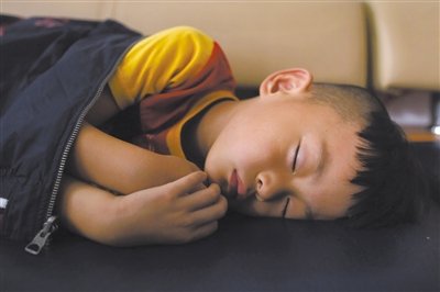 9月6日，等待錄制節(jié)目的多多躺在沙發(fā)上熟睡。新京報記者 侯少卿 攝