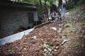 27日，天心區(qū)青山祠福王墓附近，小山坡被人開(kāi)墾成梯田種菜?！　D/實(shí)習(xí)生蔣麗梅