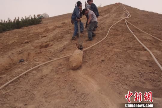　4月27日上午，當?shù)卮迕裨诠系販洗逡痪G化處挖出一枚長1米，重200斤的炸彈，5月10日，這枚炸彈已