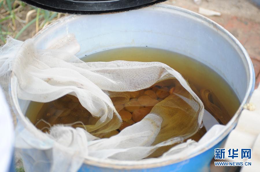 地下水成“綠茶”　污染二十多年該誰治？