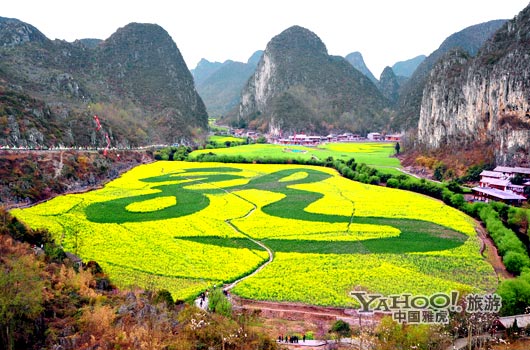 　　貴州油菜花景自以“立體多層,起伏跌宕”的油菜花景觀著稱。(圖片來(lái)源:CFP)