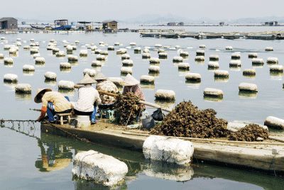 以漁為生，造就了他們不同于內(nèi)地的口味