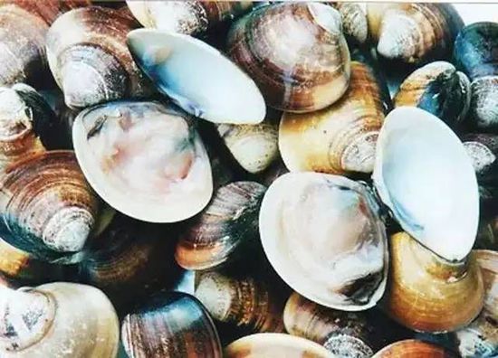 秋季最適合吃的海鮮是這10種 你吃對了嗎？