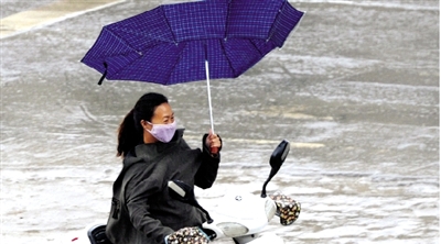昨日下午，隴海路上，雨中風(fēng)大，一位女士的傘被吹翻了。