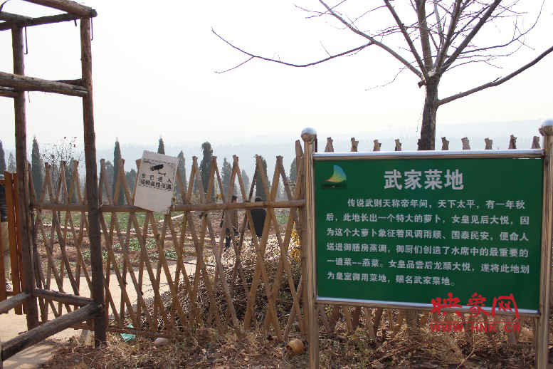 武家菜地就是這，據(jù)說里面有個(gè)特大的蘿卜