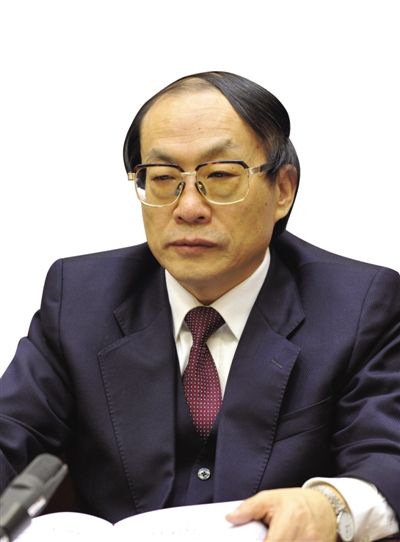 劉志軍（資料圖片）。新華社發(fā)