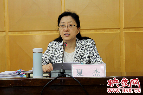 河南省委常委、組織部部長夏杰