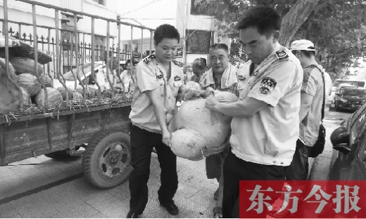 昨日，鄭州金水區(qū)執(zhí)法局的執(zhí)法隊(duì)員捐錢買瓜，替瓜農(nóng)解憂