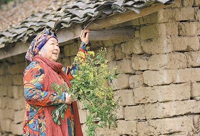 公式“時尚奶奶”的賞花照，收獲了好多人的點贊。 受訪者供圖