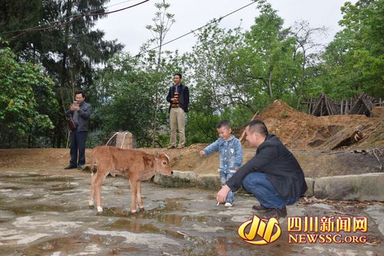 村里人知道后，前來(lái)看熱鬧