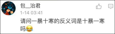 鶴立雞群？雞立鶴群！