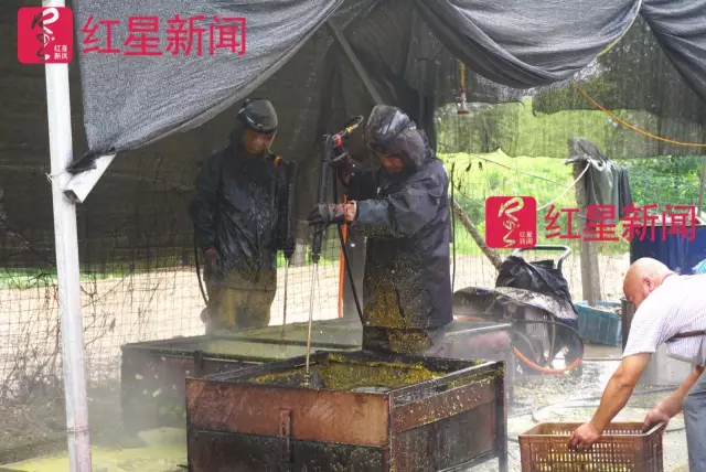 文玩核桃遇冷由幾萬一對(duì)降到5元沒人要？商戶否認(rèn)