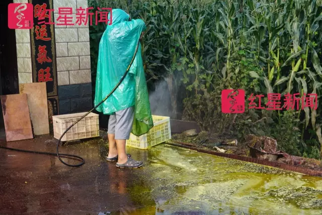 文玩核桃遇冷由幾萬一對(duì)降到5元沒人要？商戶否認(rèn)