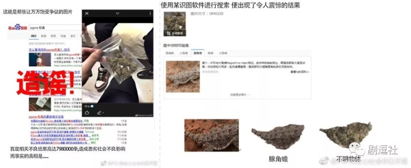 PGone又教給我們一個新詞：虐粉。