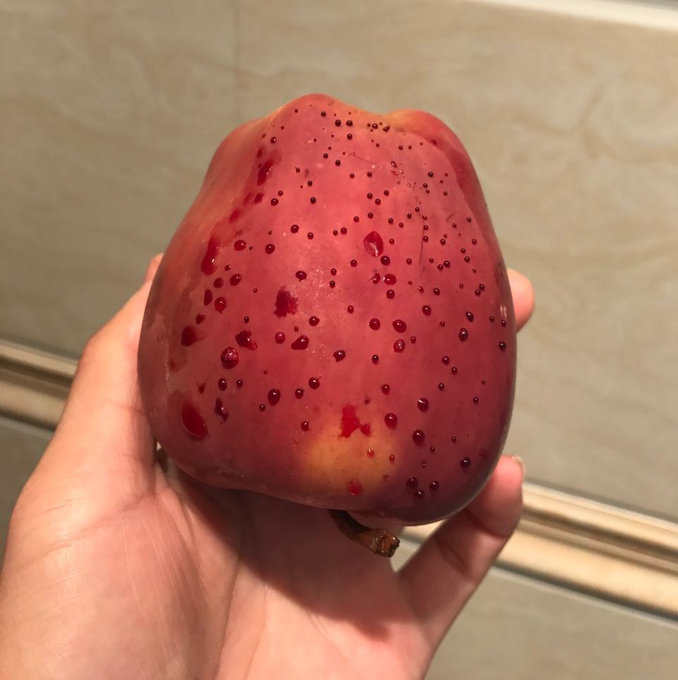 嚇懵！女子用熱水泡蘋果結(jié)果冒出血珠 咋回事？