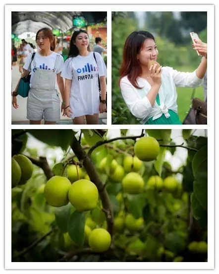 美女與香梨，你更愛哪一個(gè)？！