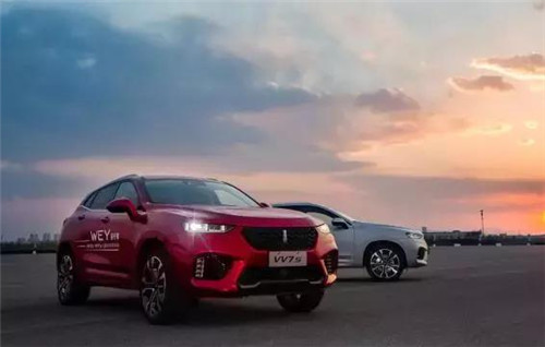 去年“蹦”出來的新汽車品牌們，現(xiàn)在活得怎么樣了？
