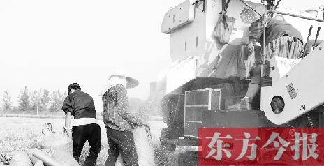 李正厚的妻子鮑本華（右）和一位村民拎著麻袋來(lái)到收割機(jī)前，接住傾倒出來(lái)的麥粒