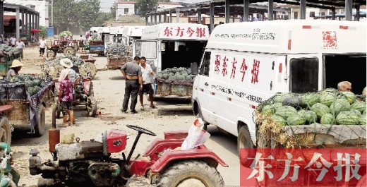昨日，東方今報(bào)與河南福壽園聯(lián)合購瓜，只有更多的市民和企業(yè)加入購瓜行動，瓜農(nóng)們才能早日回家