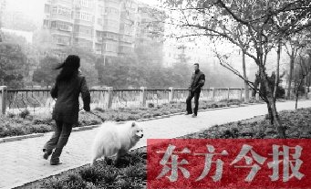12月3日，鄭州市南關街熊兒河旁，一名遛狗的女子見到執(zhí)法人員檢查，迅速跑開