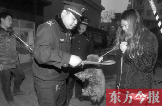 12月3日早上6點半，鄭州市南關街熊兒河旁，南關街辦事處的執(zhí)法人員對狗進行排查
