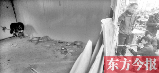 12月4日，鄭州市未來(lái)路與隴海路交叉口西側(cè)，執(zhí)法人員用吹管麻醉針對(duì)付一只藏獒