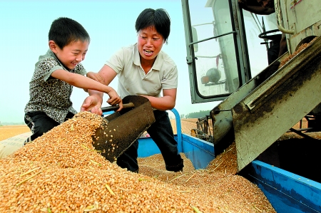 5月27日，確山縣劉店鎮(zhèn)前槽村郭景蓮和小孫子一起收獲小麥，豐收的喜悅寫在了臉上。