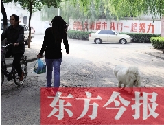 啟明一巷內(nèi)，一名女子帶著狗狗去買菜。狗隨地大小便，狗的主人未制止