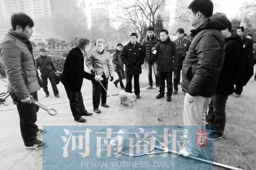一只辦過狗證的小白狗，因?yàn)闆]有拴犬鏈，被執(zhí)法人員暫扣