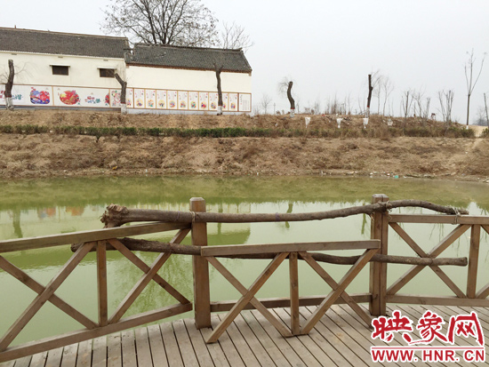 護(hù)欄損毀的地方，已經(jīng)被兩根樹(shù)干擋住。