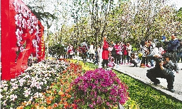 市民紛紛將鏡頭對(duì)準(zhǔn)花叢。