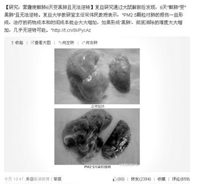 昨天，一則“霧霾使鮮肺6天變黑肺”的新聞在網(wǎng)上引發(fā)熱議。網(wǎng)絡截圖