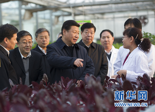  27日下午，習近平在山東省農(nóng)業(yè)科學院智能化溫室了解農(nóng)業(yè)科技創(chuàng)新情況。