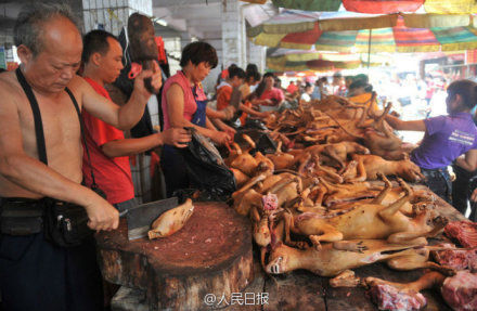 玉林狗肉節(jié)。