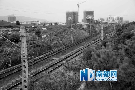 　東源縣法院院長(zhǎng)被火車撞亡事發(fā)地段。