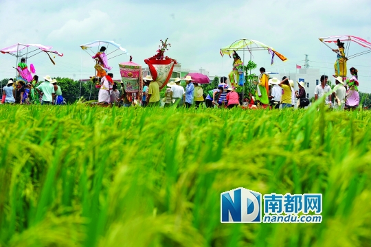 崖口村每年都在村里舉行飄色巡游活動。