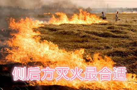 不要在風(fēng)頭上打火：風(fēng)正大，火正旺，最容易傷人；