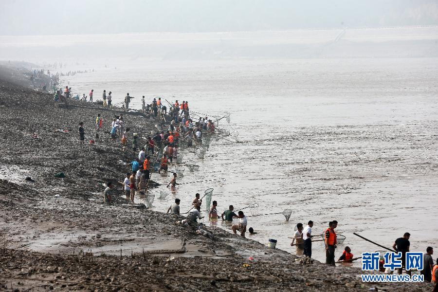 7月6日,在山西省平陸縣黃河岸邊,人們在河邊捕撈黃河“流魚”。
