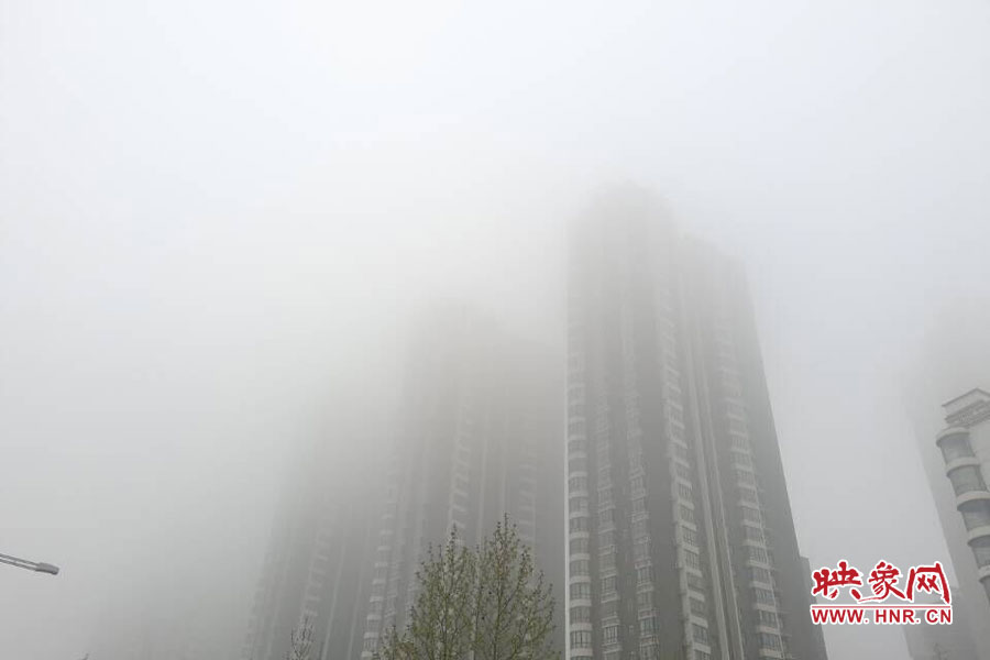 鄭州現(xiàn)大霧天氣，宛若仙境