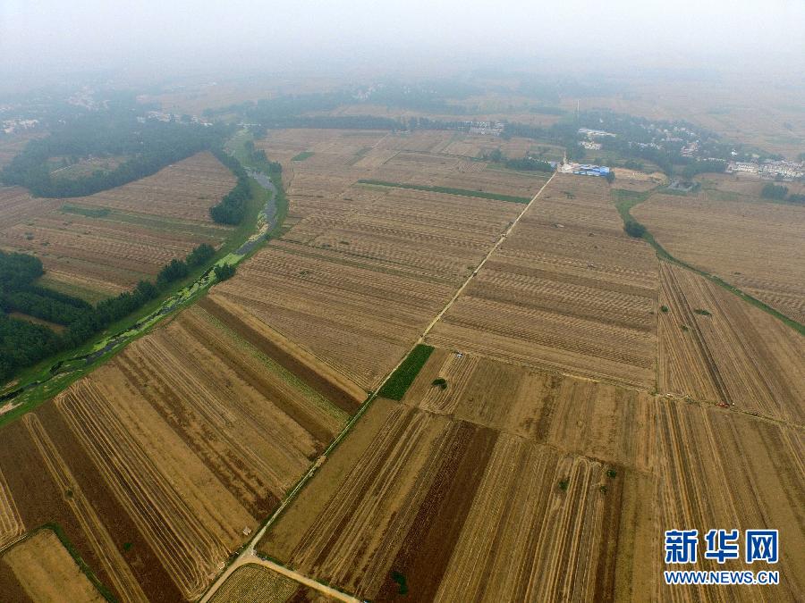 這是5月28日在河南省南陽市唐河縣甘河灣村航拍的麥收現(xiàn)場。