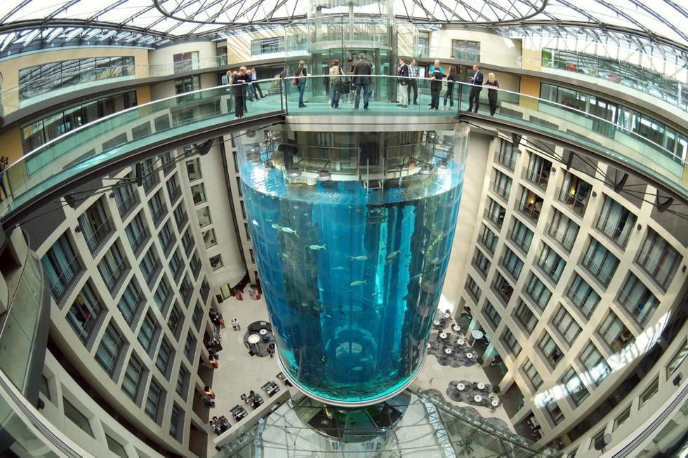在圓柱水族館主體下方，還有一些別的展館。